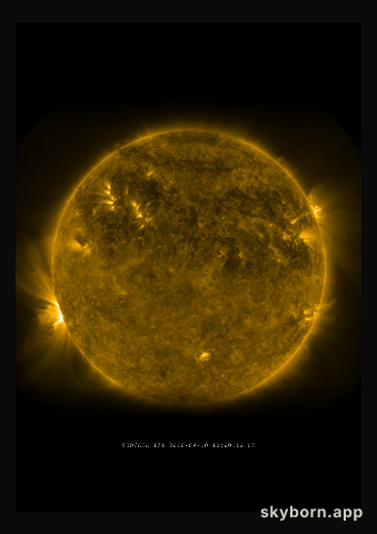 The Sun on 10 September 2010