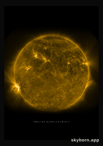 The Sun on 11 September 2010