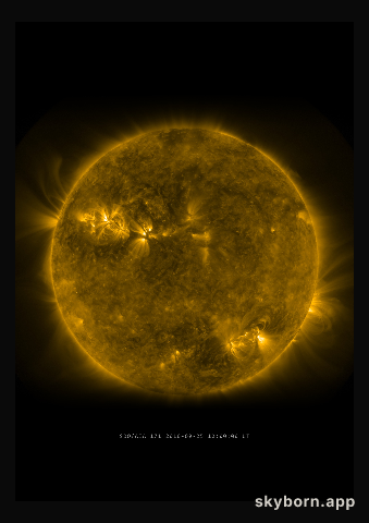 The Sun on 25 September 2010