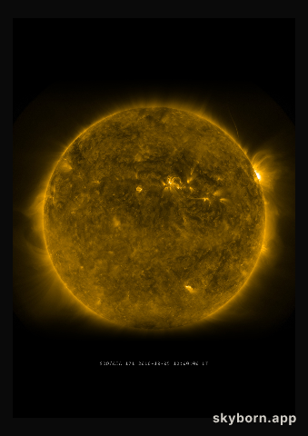 The Sun on 5 October 2010
