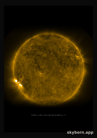 The Sun on 9 October 2010