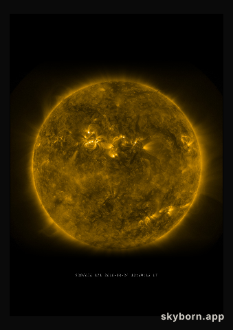 The Sun on 24 October 2010