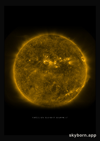 The Sun on 25 October 2010