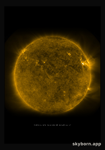 The Sun on 30 October 2010