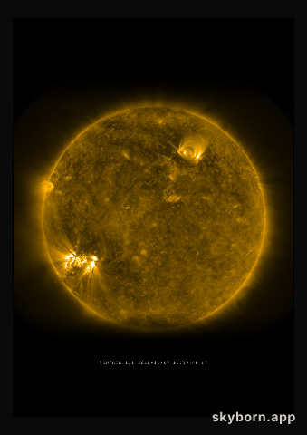 The Sun on 7 November 2010