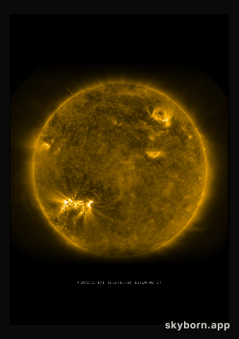 The Sun on 8 November 2010
