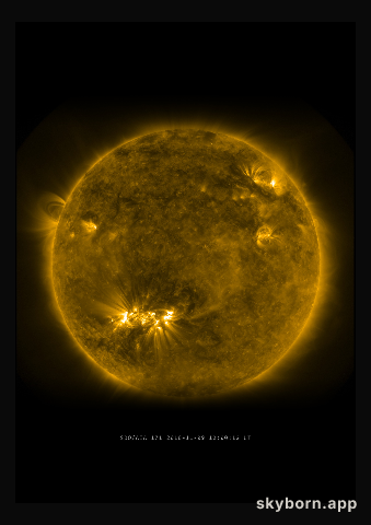 The Sun on 9 November 2010