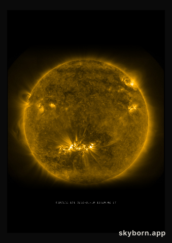 The Sun on 10 November 2010