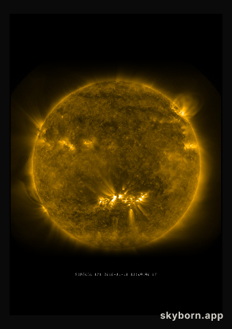 The Sun on 11 November 2010