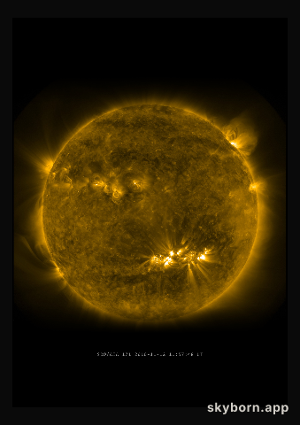 The Sun on 12 November 2010