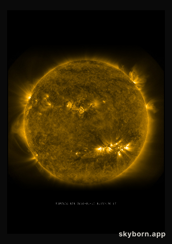 The Sun on 13 November 2010