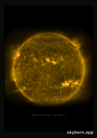 The Sun on 14 November 2010