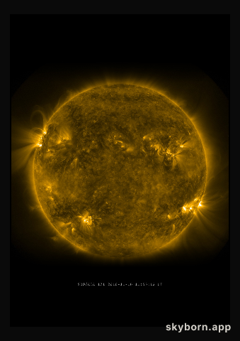 The Sun on 16 November 2010