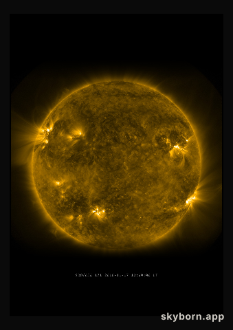 The Sun on 17 November 2010