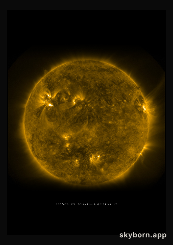 The Sun on 19 November 2010