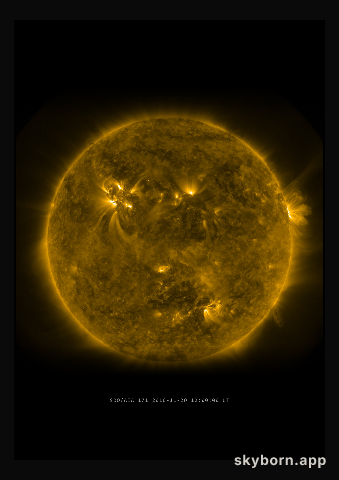 The Sun on 20 November 2010