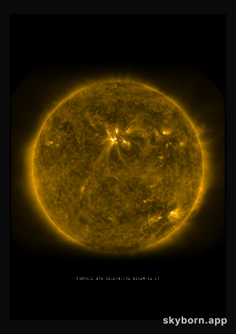 The Sun on 22 November 2010