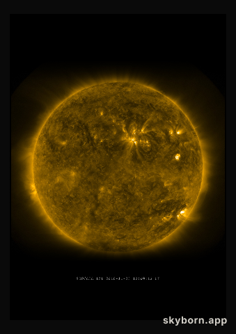 The Sun on 23 November 2010