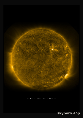 The Sun on 24 November 2010