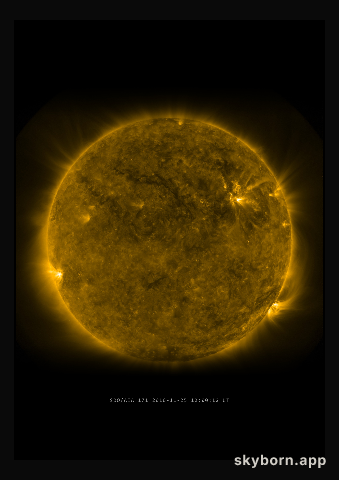 The Sun on 25 November 2010