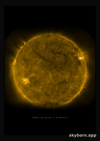 The Sun on 27 November 2010