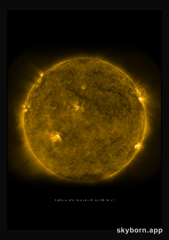 The Sun on 28 November 2010