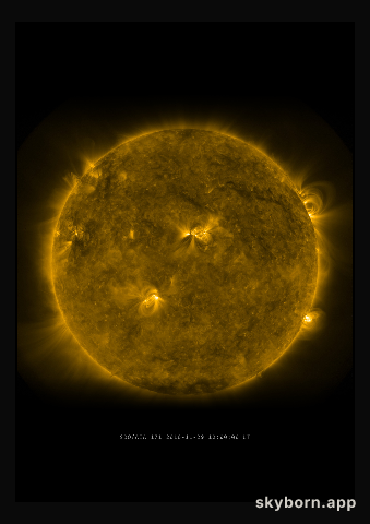 The Sun on 29 November 2010