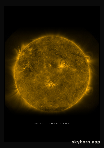 The Sun on 30 November 2010