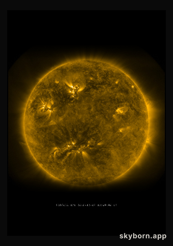 The Sun on 7 December 2010