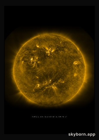 The Sun on 8 December 2010