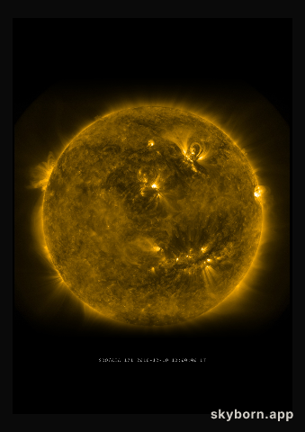 The Sun on 10 December 2010