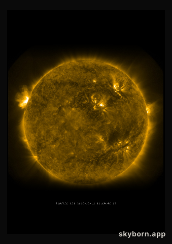 The Sun on 11 December 2010