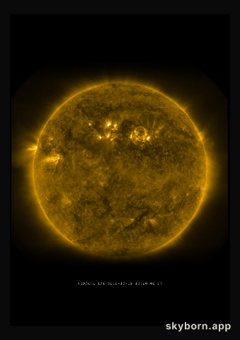 The Sun on 19 December 2010