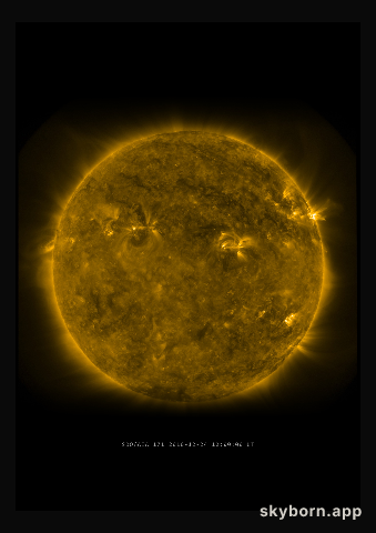 The Sun on 24 December 2010