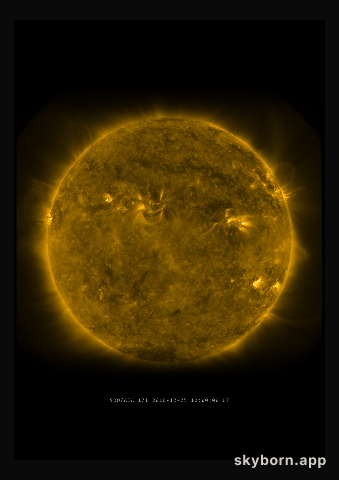 The Sun on 25 December 2010