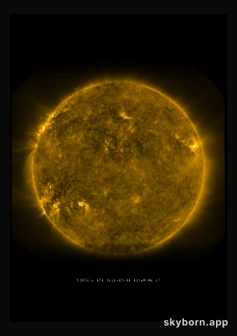 The Sun on 31 December 2010