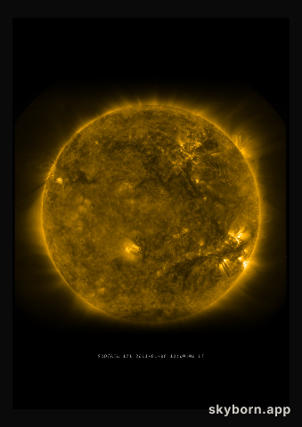 The Sun on 8 January 2011