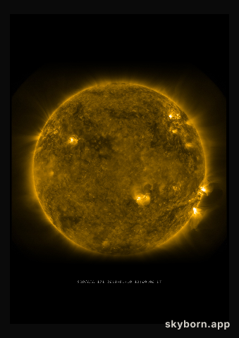 The Sun on 10 January 2011