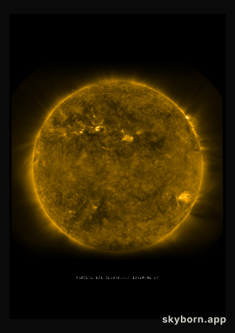 The Sun on 13 January 2011