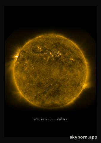 The Sun on 15 January 2011