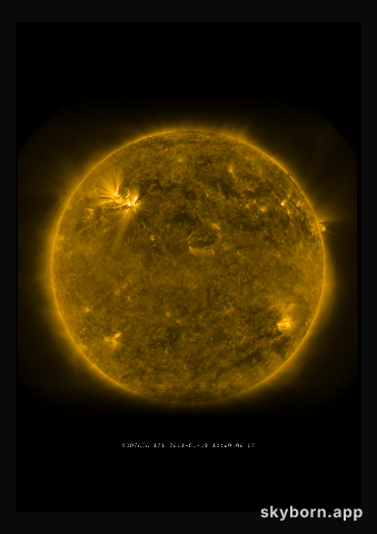 The Sun on 19 January 2011