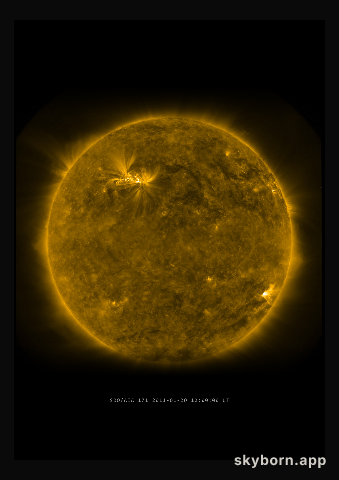The Sun on 20 January 2011