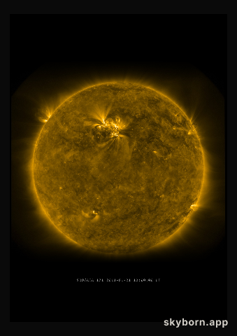 The Sun on 21 January 2011