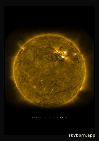The Sun on 23 January 2011
