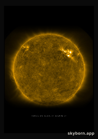 The Sun on 24 January 2011