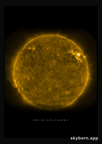 The Sun on 25 January 2011