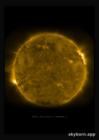 The Sun on 27 January 2011