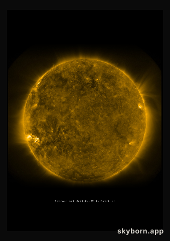 The Sun on 29 January 2011