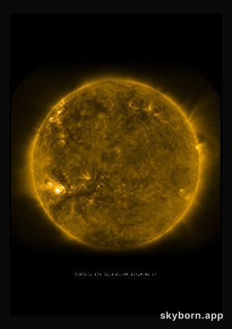 The Sun on 30 January 2011