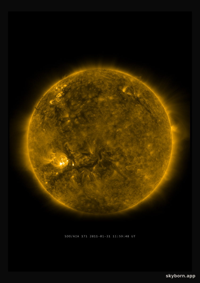 The Sun on 31 January 2011